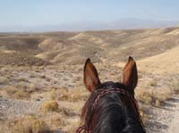 /international/USA/2011OwyheeCanyonlands/gallery/05/thumbnails/1109OwyC_328.jpg