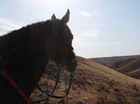 /international/USA/2011OwyheeCanyonlands/gallery/05/thumbnails/1109OwyC_330.jpg