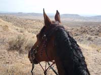 /international/USA/2011OwyheeCanyonlands/gallery/05/thumbnails/1109OwyC_333.jpg