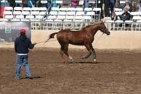 /international/USA/2011SAS/gallery/01/thumbnails/1102SAS_0061.jpg