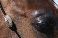 /international/USA/2011SAS/gallery/01/thumbnails/1102SAS_0167.jpg