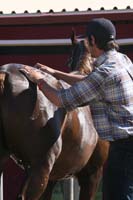 /international/USA/2011SAS/gallery/02/thumbnails/1102SAS_0307.jpg