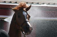 /international/USA/2011SAS/gallery/02/thumbnails/1102SAS_0317.jpg