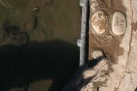 /international/USA/2011Tevis/gallery/01/thumbnails/1110TCup_011.jpg