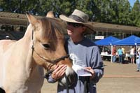 /international/USA/2011Tevis/gallery/01/thumbnails/1110TCup_031.jpg