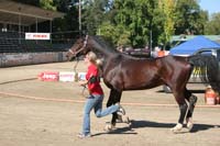 /international/USA/2011Tevis/gallery/01/thumbnails/1110TCup_054.jpg