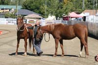 /international/USA/2011Tevis/gallery/02/thumbnails/1110TCup_098.jpg