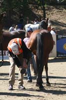 /international/USA/2011Tevis/gallery/02/thumbnails/1110TCup_103.jpg