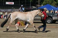 /international/USA/2011Tevis/gallery/02/thumbnails/1110TCup_121.jpg