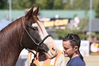 /international/USA/2011Tevis/gallery/02/thumbnails/1110TCup_128.jpg