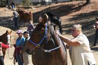 /international/USA/2011Tevis/gallery/02/thumbnails/1110TCup_134.jpg