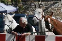 /international/USA/2011Tevis/gallery/03/thumbnails/1110TCup_162.jpg