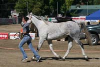 /international/USA/2011Tevis/gallery/03/thumbnails/1110TCup_199.jpg