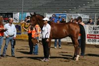 /international/USA/2011Tevis/gallery/03/thumbnails/1110TCup_200.jpg