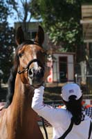 /international/USA/2011Tevis/gallery/03/thumbnails/1110TCup_204.jpg