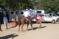 /international/USA/2011Tevis/gallery/04/thumbnails/1110TCup_229.jpg