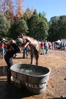 /international/USA/2011Tevis/gallery/05/thumbnails/1110TCup_261.jpg