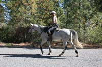 /international/USA/2011Tevis/gallery/05/thumbnails/1110TCup_288.jpg