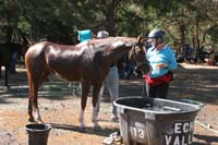 /international/USA/2011Tevis/gallery/05/thumbnails/1110TCup_302.jpg