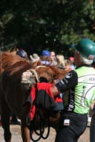 /international/USA/2011Tevis/gallery/06/thumbnails/1110TCup_339.jpg