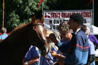 /international/USA/2011Tevis/gallery/06/thumbnails/1110TCup_342.jpg
