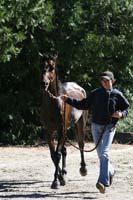 /international/USA/2011Tevis/gallery/06/thumbnails/1110TCup_353.jpg