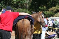 /international/USA/2011Tevis/gallery/06/thumbnails/1110TCup_383.jpg