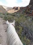 /international/USA/2013Fandango/gallery/01/thumbnails/P5240723.jpg