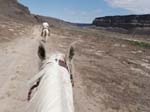 /international/USA/2013Fandango/gallery/03/thumbnails/P5260132.jpg