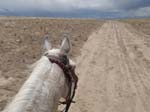 /international/USA/2013Fandango/gallery/03/thumbnails/P5260162.jpg