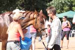 /international/USA/2013Tevis/gallery/05S/thumbnails/1307Tev_0282.jpg