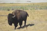 /international/USA/2016AERCNC/gallery/02Thu/thumbnails/IMG_2980.jpg