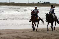 /international/Uruguay/2007Rocha/Gallery/Dec2_beach/thumbnails/IMG_1446.jpg
