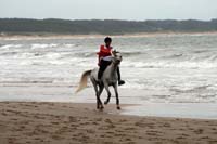 /international/Uruguay/2007Rocha/Gallery/Dec2_beach/thumbnails/IMG_1462.jpg