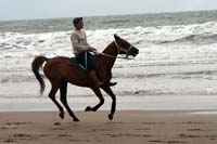 /international/Uruguay/2007Rocha/Gallery/Dec2_beach/thumbnails/IMG_1498.jpg