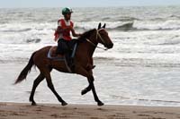 /international/Uruguay/2007Rocha/Gallery/Dec2_beach/thumbnails/IMG_1529.jpg
