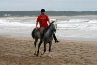 /international/Uruguay/2007Rocha/Gallery/Dec2_beach/thumbnails/IMG_1540.jpg
