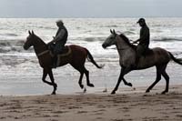 /international/Uruguay/2007Rocha/Gallery/Dec2_beach/thumbnails/IMG_1550.jpg