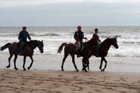 /international/Uruguay/2007Rocha/Gallery/Dec2_beach/thumbnails/IMG_1590.jpg