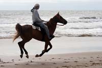 /international/Uruguay/2007Rocha/Gallery/Dec2_beach/thumbnails/IMG_1614.jpg