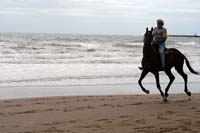/international/Uruguay/2007Rocha/Gallery/Dec2_beach/thumbnails/IMG_1651.jpg