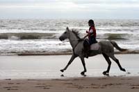 /international/Uruguay/2007Rocha/Gallery/Dec2_beach/thumbnails/IMG_1664.jpg