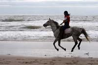 /international/Uruguay/2007Rocha/Gallery/Dec2_beach/thumbnails/IMG_1666.jpg