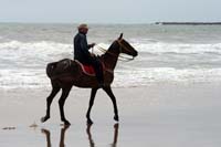 /international/Uruguay/2007Rocha/Gallery/Dec2_beach/thumbnails/IMG_1696.jpg