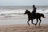 /international/Uruguay/2007Rocha/Gallery/Dec2_beach/thumbnails/IMG_1716.jpg