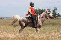 /international/Uruguay/2007Rocha/Gallery/Dec2_trail/thumbnails/IMG_1950.jpg