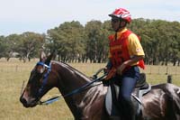 /international/Uruguay/2007Rocha/Gallery/Dec2_trail/thumbnails/IMG_2009.jpg