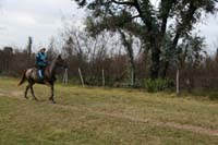 /international/Uruguay/2009PanAm/gallery/apr25_Road/thumbnails/IMG_3919.jpg