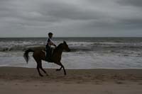 /international/Uruguay/2009PanAm/gallery/apr25_Road/thumbnails/IMG_4165.jpg