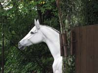 /japan/gallery/arabianHorseRanch/thumbnails/IMG_0054.jpg